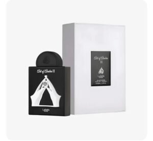 ART OF ARABIA ll EDP 100ML LATAFA