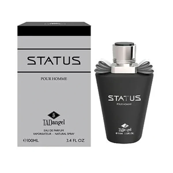 TADANGEL STATUS POUR HOMME EDP 100ML